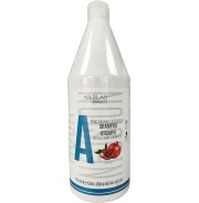 CHAMPU POMEGRANATE, SALERM