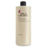 CHAMPU IDEAL COLOR 1L, KOSSWELL